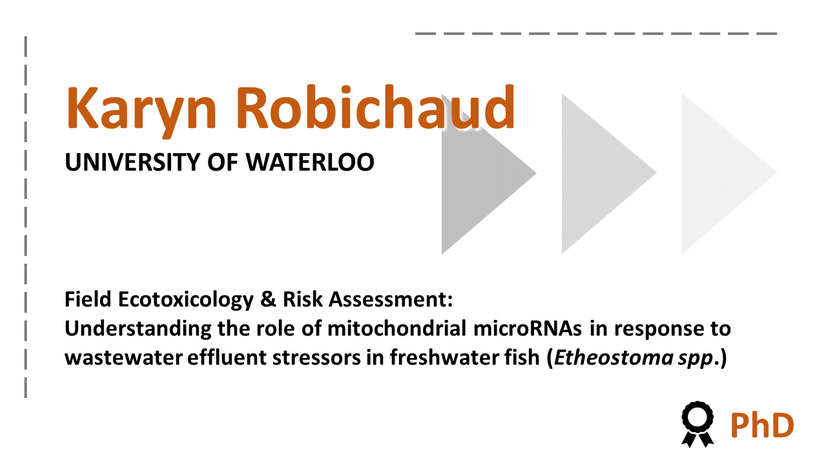 Understanding the Role of Mitochondrial MicroRNAs in Response to Wastewater Effluent  Stressors in Freshwater Fish (Etheostoma spp.)